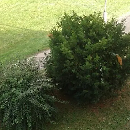 Ortenova 74 公寓 *