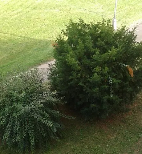 Ortenova 74 Apartamento *